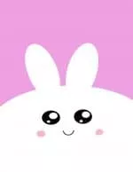 kawaii rabbit